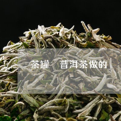 茶罐 普洱茶做的/2023031727149